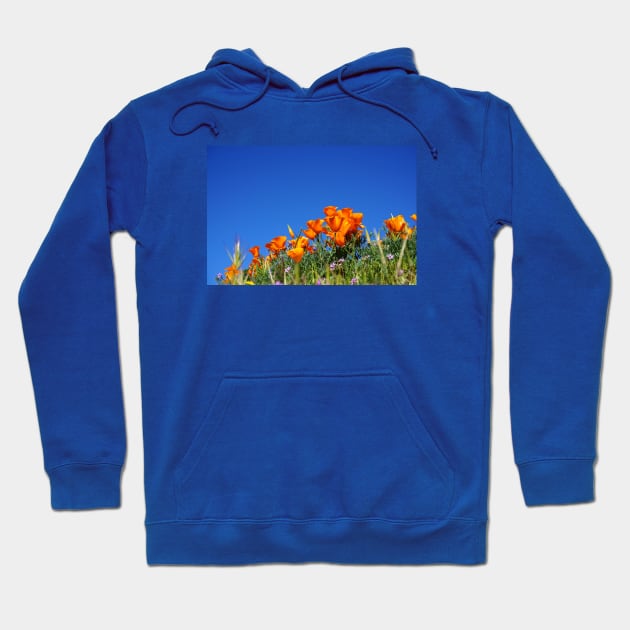 California Poppies and Blue Skies Photograph Hoodie by bumblefuzzies